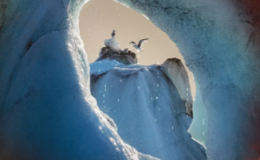 FAR AWAY: Solastalgia