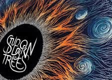 STUBBORN TREES: The stronger the wind…