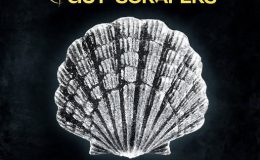 GUT-SCRAPERS: Twelve rays