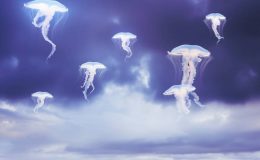 SEVEN EYED CROW: Emerge