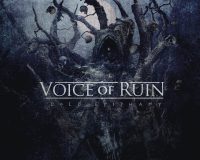 VOICE OF RUIN: Cold epiphany