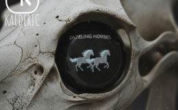 KAEDERIC: Dazzling horses